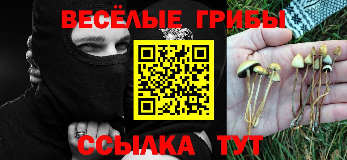Псилоцибиновые грибы Cubensis  наркотики  Вход с VPN  Подольск  Галлюциногенные грибы мицелий 